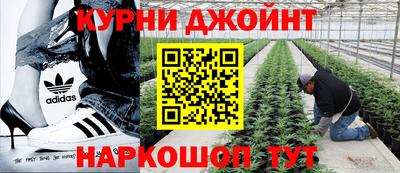 ешки Аргун
