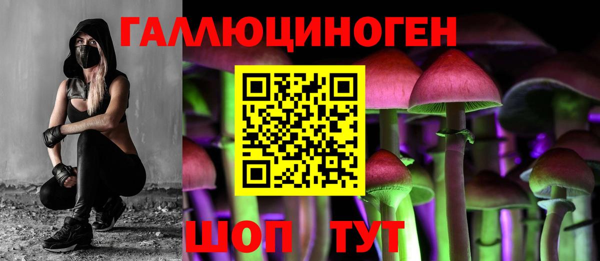 Галлюциногенные грибы GOLDEN TEACHER Богданович